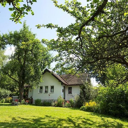 Ferienhaus Am Alten Bahndamm Waldsassen Zewnętrze zdjęcie